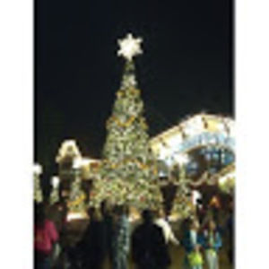 Meet your Posher, Coreen